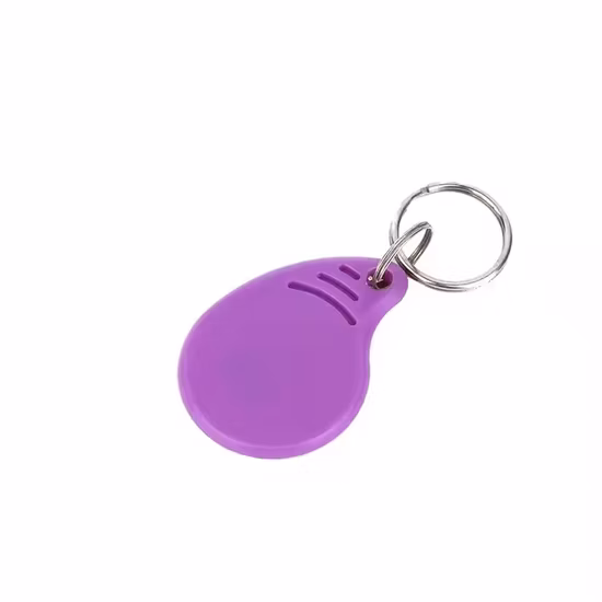 Fabrikgünstiger Preis ABS Proximity 125 kHz RFID-Schlüsselanhänger ID-Token-Schlüsselanhänger