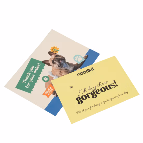 Fabrikpreis VIP-Mitgliedskarte/VIP-Mitgliedskarten PVC-Material